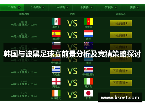 韩国与波黑足球赛前景分析及竞猜策略探讨
